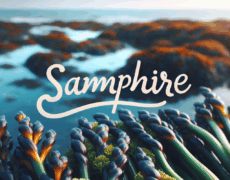 Descubre dónde comer samphire en Londres: los mejores lugares para disfrutar de esta delicia del mar
